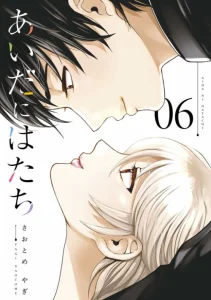 Cover Aida Ni Hatachi