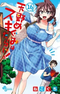 Cover Amano Megumi wa Sukidarake!