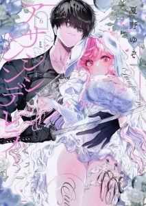Cover Assassin and Cinderella