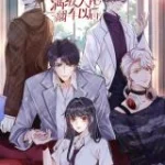Cover Bao Jin Wo De Xiao Majia
