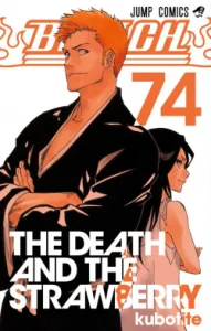 Cover Bleach