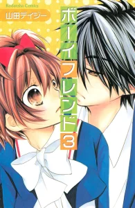 Cover Boyfriend