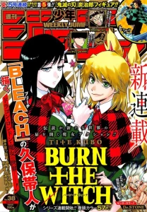 Cover Burn The Witch