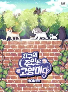 Cover Cats Own the World