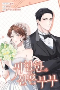 Cover Dangerous Newlyweds