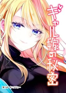 Cover Gal Yome no Himitsu