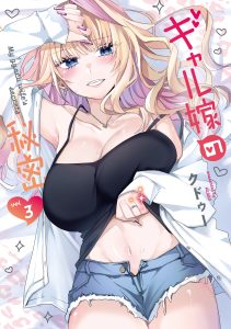 Cover Gal Yome no Himitsua