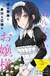 Cover Gomennasai Ojou-sama, Ore wa Maid ga Suki nan desu