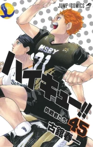 Cover Haikyuu!!