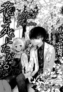Cover Hana wa Shinitagaru