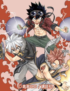 Cover Hero’s