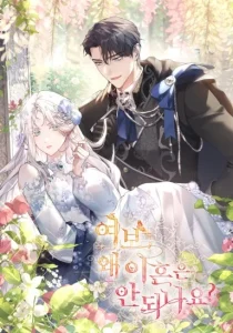 Cover Honey, Why Can’t We Get A Divorce?
