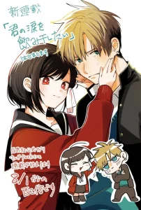 Cover I Want To Drink Your Tears