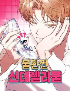 Cover Imperfect Cinderella Story