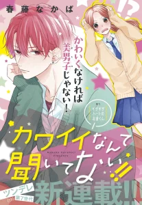 Cover Kawaii nante Kiitenai
