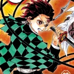 Cover Kimetsu no Yaiba