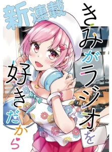 Cover Kimi ga Radio wo Suki dakara