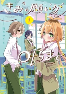 Cover Kimi no Negai ga Kanau made