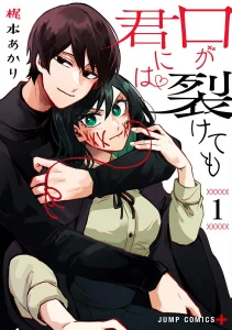 Cover Kuchi ga Saketemo Kimi ni wa