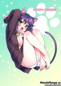 Cover Nikukyuu!