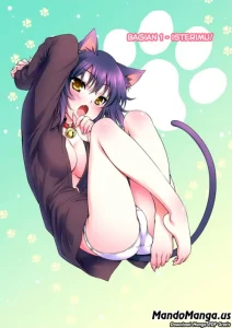 Cover Nikukyuu!