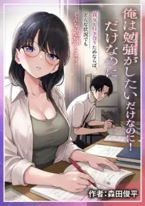 Cover Ore Wa Benkyo Ga Shitai Dake Nanoni!