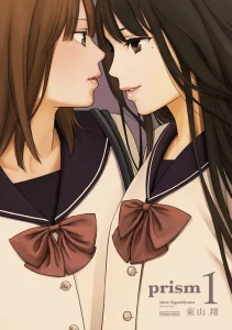Cover Prism