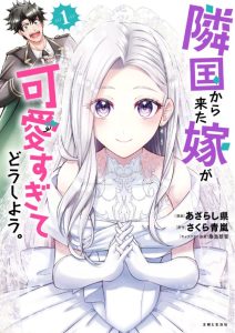 Cover Rinkoku kara Kita Yome ga Kawaisugite Doushiyou