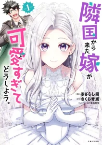 Cover Rinkoku kara Kita Yome ga Kawaisugite Doushiyou