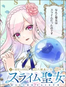 Cover Slime Saint