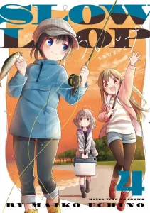 Cover Slow Loop