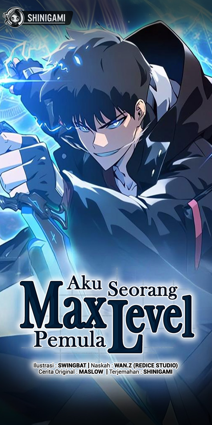 Solo Max-Level Newbie