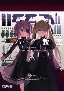 Cover Spy Room