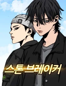 Cover Stone Breaker