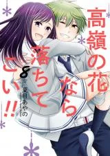 Cover Takane no Hana nara Ochitekoi!!