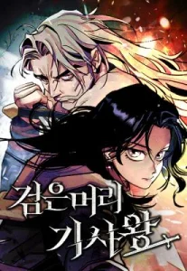 Cover The Black Haired Knight King