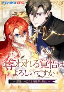 Cover The Fake Lady and the Knight