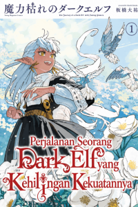 Cover The Journey of a Dark Elf with Fading Powers