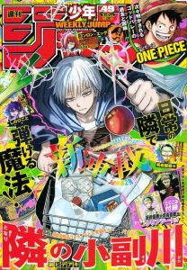 Cover The Mage Next Door