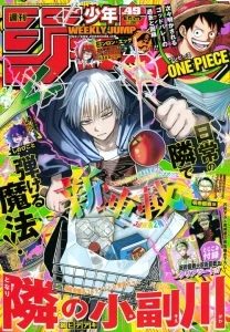 Cover The Mage Next Door