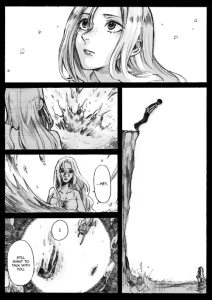 Cover The Mermaid And