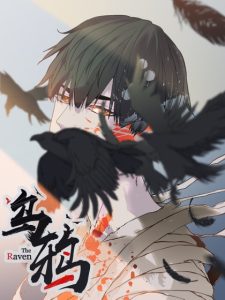 Cover The Raven