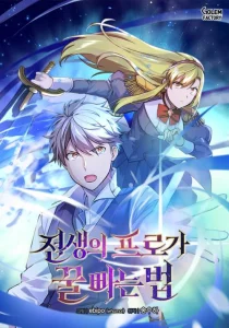 Cover The Sweet Life of a Reincarnation Pro