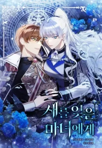 Cover To the Witch Who Forgot Her Bird