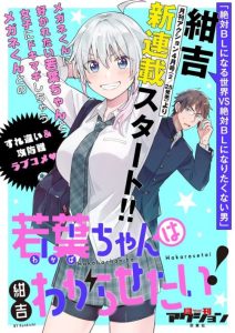 Cover Wakaba-chan wa Wakarasetai
